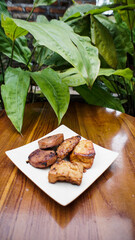Grilled tofu on a white plate with green plants in the background.