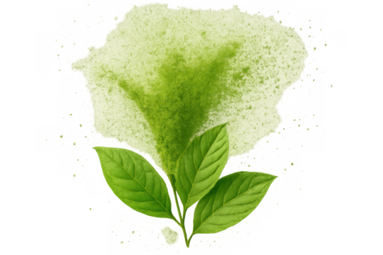 Matcha green tea powder splash with fresh leaves on transparent background, symbolizing natural health and beverage - Powered by Adobe
