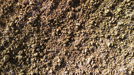 A close-up view of rich brown soil, showcasing its texture and composition. The soil is dry and earthy, suitable for agriculture or gardening settings. Natural elements are visible.