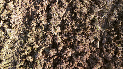 Close-up of a muddy agricultural field soil surface, showcasing texture and agricultural potential. Ideal for farming context or nature themes in rural settings.