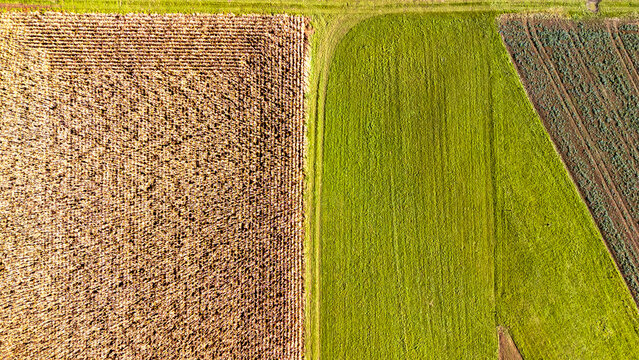Aerial view of agricultural land showcasing contrasting crops with sections of golden stubble and lush green fields, representing diverse farming techniques and productivity.