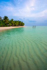 Tranquil closeup calm sea water waves with palm trees. Beautiful Panorama, Tropical island beach landscape exotic shore coast. Summer vacation, holiday amazing nature. Relax paradise, Maldives.