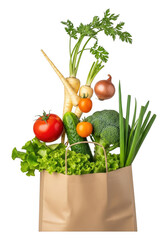 Grocery Bag Full of Fresh Vegetables Healthy Produce Shopping