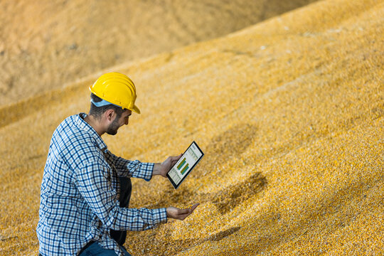 Warehouse worker checking soy quality with tablet and graphs