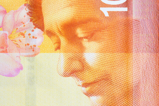 Leah Goldberg a closeup portrait from Israeli money