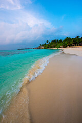 Tranquil closeup calm sea water waves with palm trees. Beautiful Panorama, Tropical island beach landscape exotic shore coast. Summer vacation, holiday amazing nature. Relax paradise, Maldives.