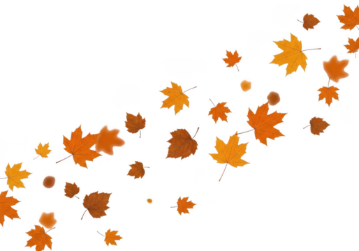 A scattering of autumn maple leaves in various shades of orange and brown, falling diagonally across a transparent background