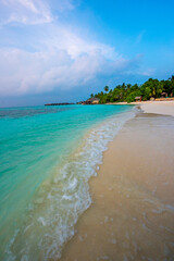 Tranquil closeup calm sea water waves with palm trees. Beautiful Panorama, Tropical island beach landscape exotic shore coast. Summer vacation, holiday amazing nature. Relax paradise, Maldives.