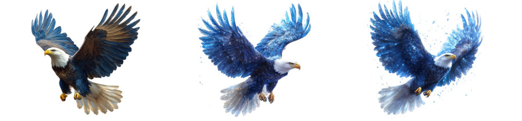 Obraz premium Three artistic watercolor paintings of a bald eagle in flight, with blue and brown tones, isolated on transparent background