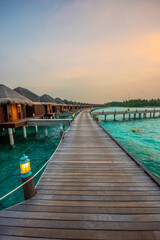 Tranquil closeup calm sea water waves with palm trees. Beautiful Panorama, Tropical island beach landscape exotic shore coast. Summer vacation, holiday amazing nature. Relax paradise, Maldives.