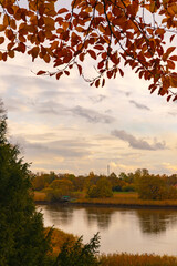 autumn trees on the lake