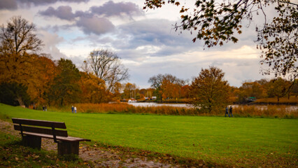 autumn in the park