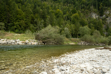 Wild Mountain River Flow, Scenic Alpine Landscape.