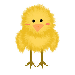 cute fluffy yellow chick illustration 