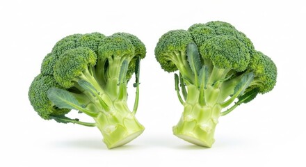Two broccoli florets stand isolated on white, showing green heads and stems