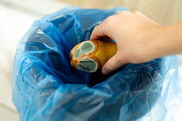 Throwing spoiled pear with mold into blue trash bag