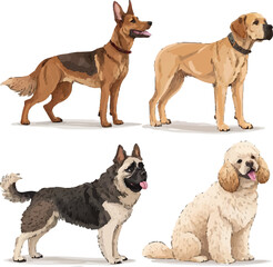 Set of Dog Breeds – Realistic Pet Animal Illustration Collection