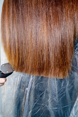 close-up of a client's sleek, long, chestnut-colored hair at a salon, viewed from behind