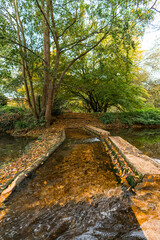 Water stream in a park during autumn