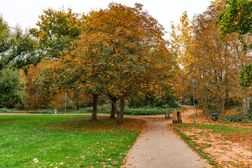Fototapeta premium Beautiful autumnal background in the UK