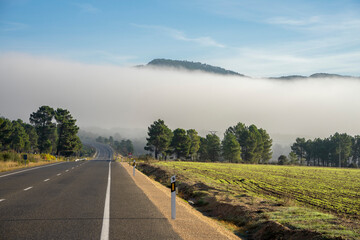 Carretera, niebla