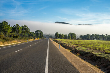 Carretera con niebla