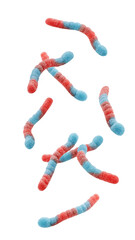 Falling Gummy candy, isolated on white background, full depth of field