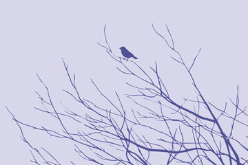 bird perched on leafless tree branch against soft blue sky