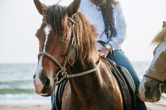Close-up of a brown horse with bridle walking on a sandy beach by the sea, ridden by a person. Natural light, calm atmosphere, equestrian lifestyle and coastal outdoor freedom. - Powered by Adobe