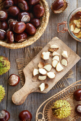 Chopping fresh horse chestnut seeds collected in autumn to prepare homemade herbal tincture