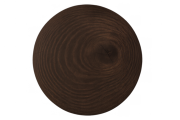 Wood slice cross-section revealing natural brown tree rings and circular grain pattern on transparent background