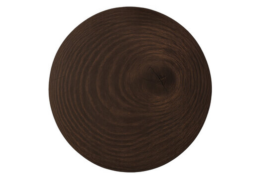Wood slice cross-section revealing natural brown tree rings and circular grain pattern on transparent background