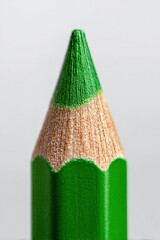 Closeup of green Pencil Point 