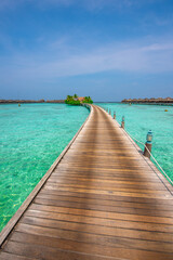 Obraz premium Tranquil closeup calm sea water waves with palm trees. Beautiful Panorama, Tropical island beach landscape exotic shore coast. Summer vacation, holiday amazing nature. Relax paradise, Maldives.