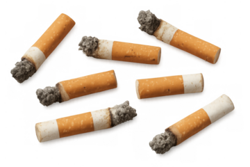 Cigarette butts littering on transparent background showing smoking addiction and environmental pollution from tobacco waste
