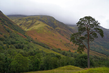 Glen Nevis in the Scottish highlands. Glen Nevis is a valley near Fort William