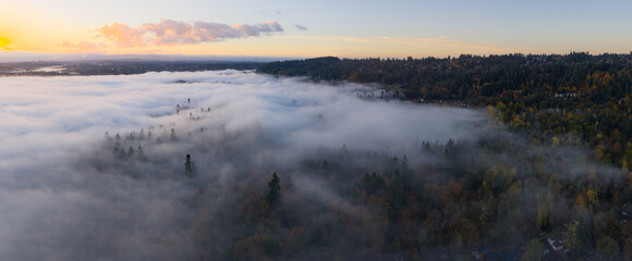 Mist drifts across a forested Pacific Northwest landscape near Portland, Oregon. Fog and mist forms when moist air cools to its dew point, causing water vapor to condense.