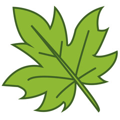 vector illustration of green maple leaf