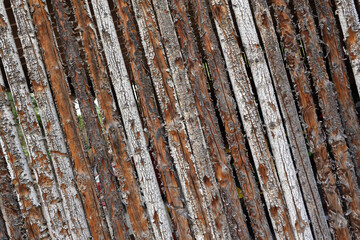 A wall created by tree limbs weathered over time.