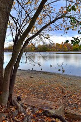 A beautiful autumn landscape on a river shore in Laval, Quebec, Canada