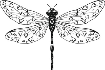 Detailed dragonfly line art with heart patterned wings, black and white symmetrical insect illustration, artistic nature drawing, whimsical fantasy design, decorative sketch