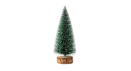 Miniature snow-dusted green christmas tree on wooden base