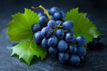 Fototapeta premium A close-up of a ripe bunch of dark grapes with green leaves on a dark surface.