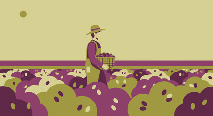 Harvesting Fruits In A Lush Orchard And Carrying The Harvest With Care