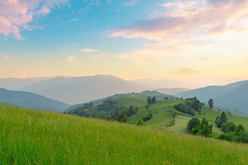 Picturesque scenery of summer-green hills under a gorgeous sunset sky, with clouds. Wildflowers on a green grass meadow. Carpathian Mountains. Ukraine.