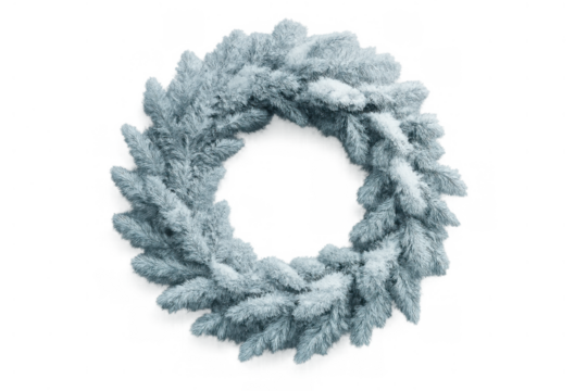 Christmas wreath with frosted pine branches, symbolising winter holidays and festive season, transparent background