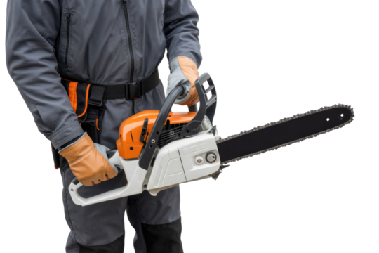 A person in grey workwear and protective gloves holds an orange and white chainsaw, ready for logging or tree maintenance. background removed
