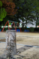 ライトに照らされた切り株の木肌テクスチャ