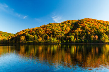Autumn Landscape at Bystrzyckie Lake, Zag&oacute;rze Śląskie, Poland