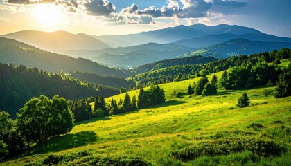 Obraz premium Idyllic green mountain landscape with hills, forest and sunlight. Scenic nature panorama, mountain valley, ecology, summer meadow, sunrise inspiration. Tranquility, freedom, outdoors, travel beauty.